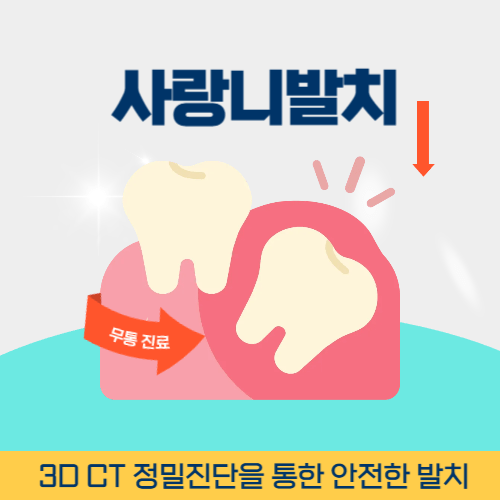 시흥치과 시흥시 치과 사랑니 발치