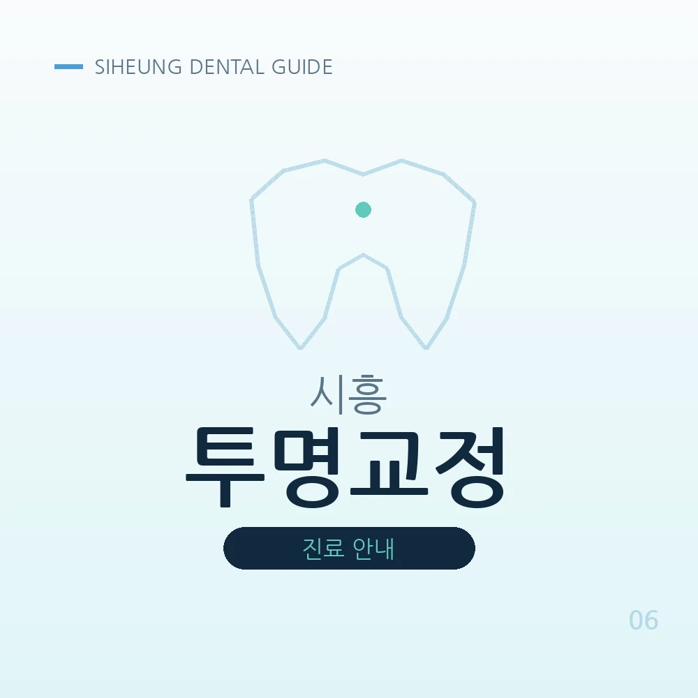 시흥투명교정